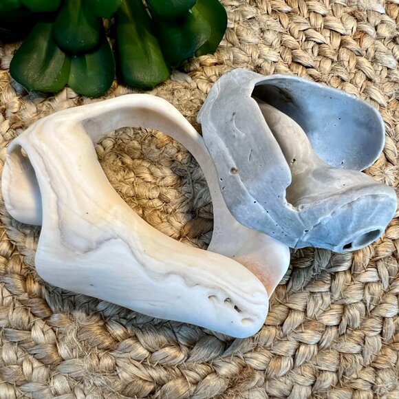 Other - SALE!  Two Unique Sea Shells